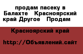 продам пасеку в Балахте - Красноярский край Другое » Продам   . Красноярский край